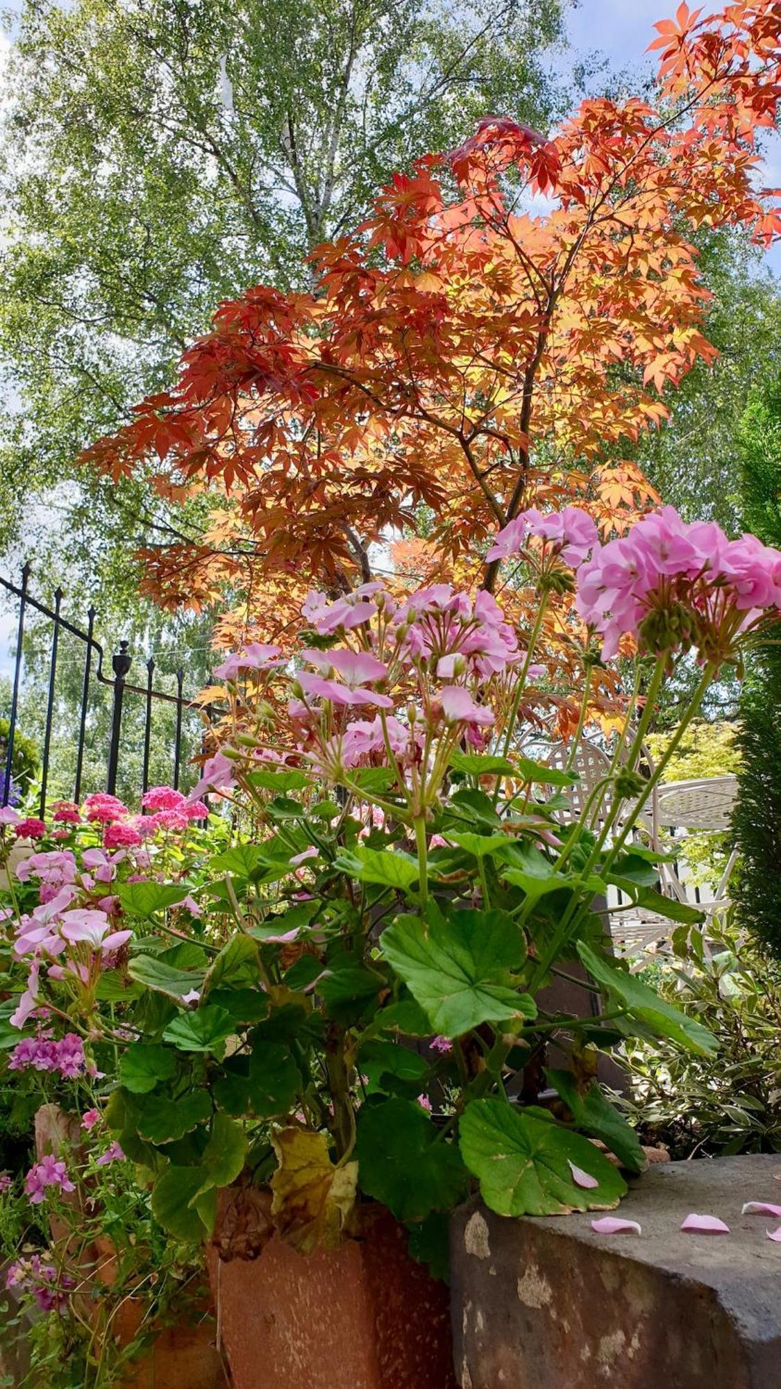 Stylish Garden In Apartamento Cheltenham
