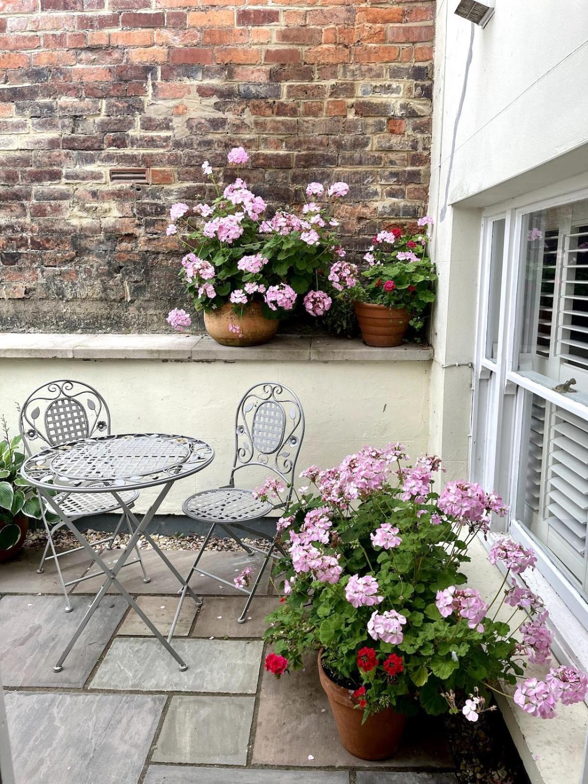 Stylish Garden In Apartamento *